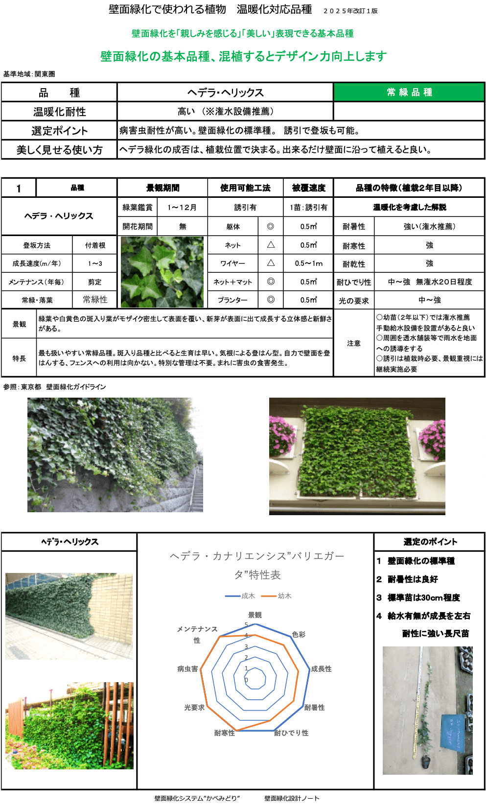 ヘデラ・ヘリックス