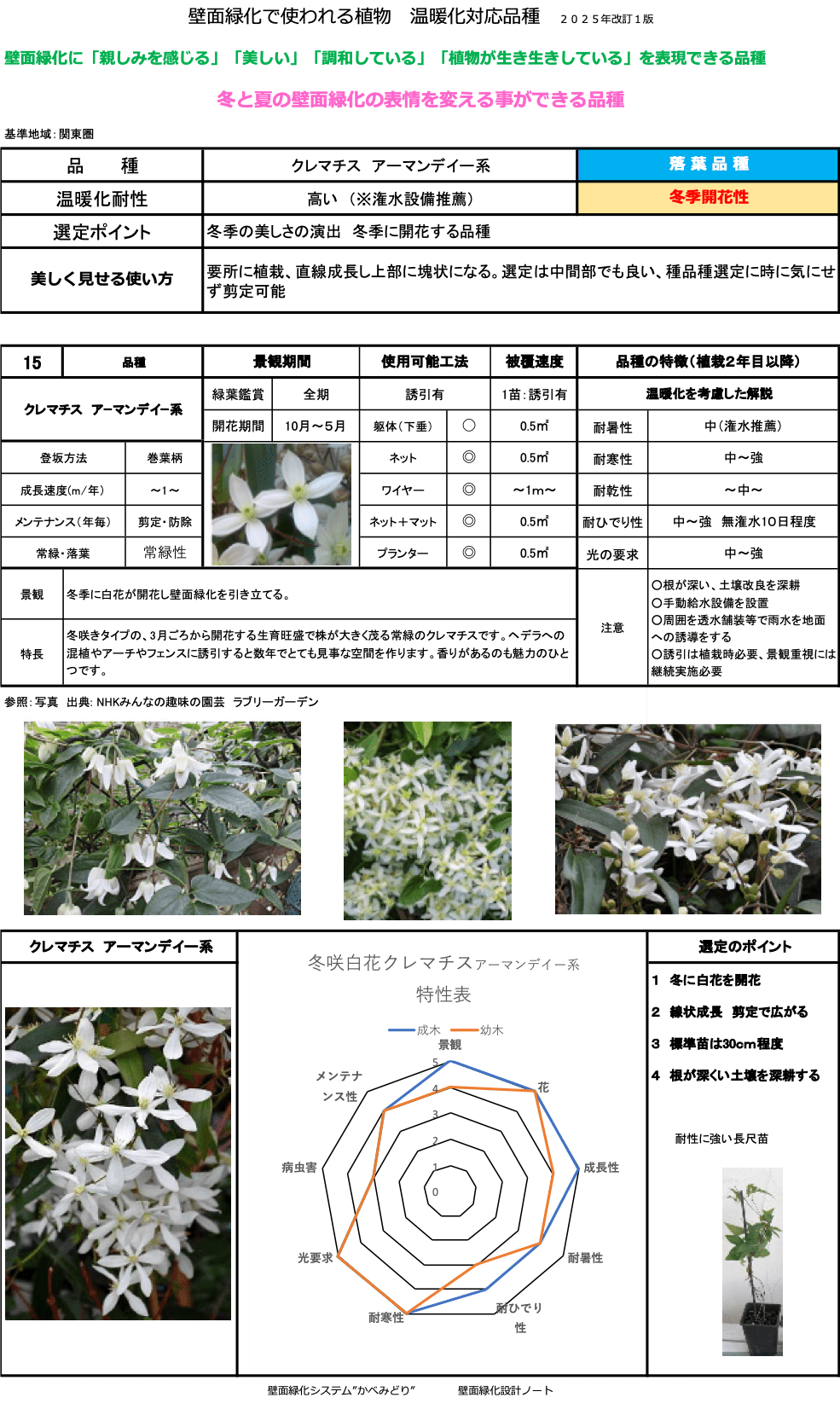 クレマチス アーマンデイー系