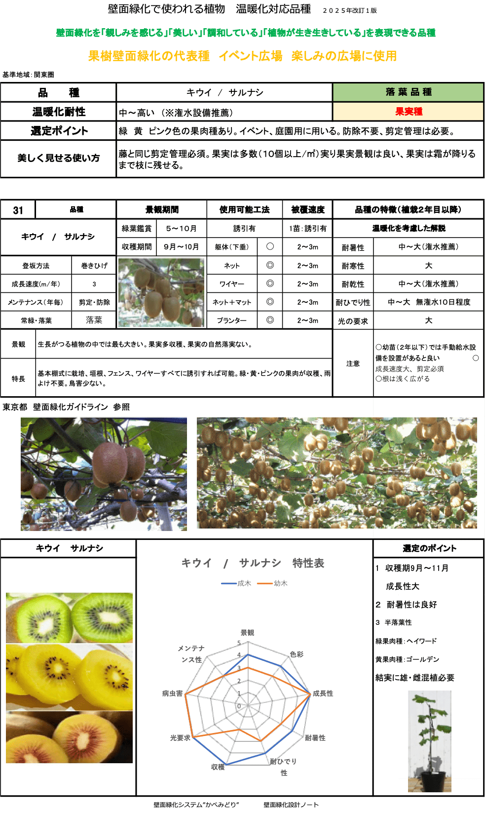 キウイ/サルナシ